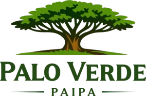 Logo primario